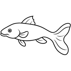 illustration of a catfish 