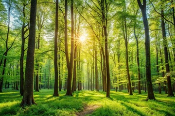 A serene and peaceful forest with tall trees swaying gently in the breeze during a warm spring day, foliage, seasonal change, trees, nature, landscape