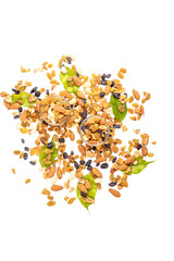 ssorted nuts on white, dry fruits, mix nuts, almond, cashew, pistachio, raisin