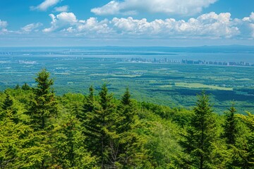 Obraz premium Panoramic view of a city from the top of a mountain, showcasing its architecture and skyline