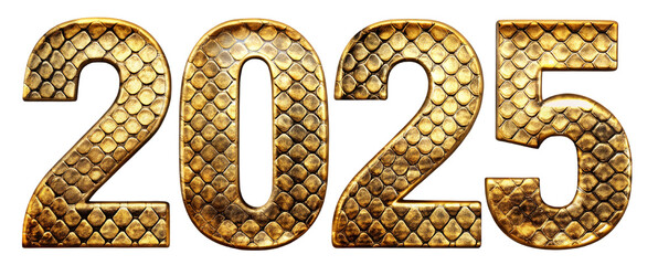 Golden Number 2025 with Scales Texture
