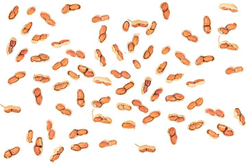 Peanuts plant food white background.Close-up of peanuts and nutshell isolated on white background.