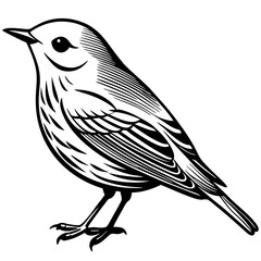 Wilson's Warbler silhouette vector illustration