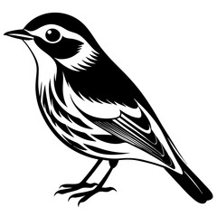 Wilson's Warbler silhouette vector illustration