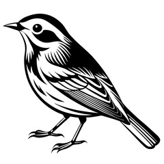 Wilson's Warbler silhouette vector illustration