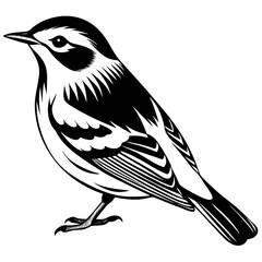 Wilson's Warbler silhouette vector illustration