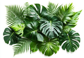 Stunning Tropical Leaf Arrangement