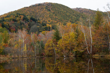 紅葉する木々が映り込む池　乗鞍高原