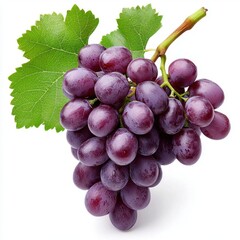 Fototapeta premium A photostock of fresh grapes on a white background, juicy and sweet.
