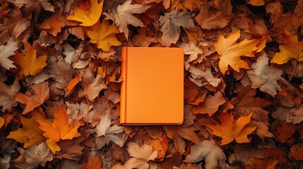 Orange notebook surrounded by autumn leaves