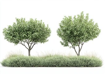 Fototapeta premium Trees and Plants Landscape Design