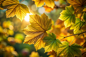 Obraz premium A close-up of vibrant green and golden leaves illuminated by sunlight, showcasing the beauty of nature in autumn.