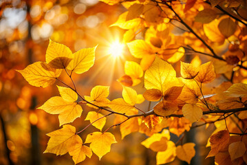 Fototapeta premium A vibrant autumn scene, featuring golden leaves illuminated by soft sunlight, creating a warm and inviting atmosphere.