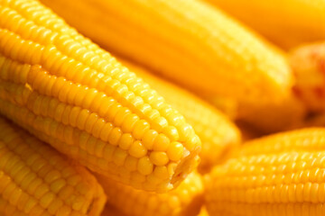 Boiled corn for sale in the market