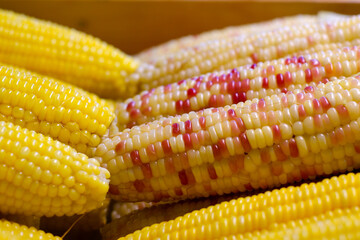 Boiled corn for sale in the market
