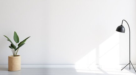 Minimalist interior with white wall, plant, and floor lamp.