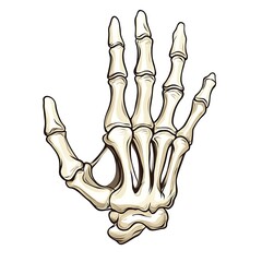 A cartoon skeleton hand on a white background.