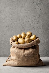 Burlap sack filled with raw potatoes against a textured concrete background