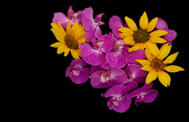 Beautiful flowers in complementary colors. 