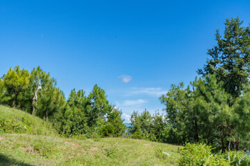 Hiking in the Shivapuri National Park of Kathmandu Nepal Natural Flora Landscapes of Tarebhir with goats and herd in distant