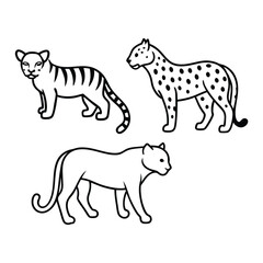 Vintage Tiger and Leopard Print Pattern Set – Hand-Drawn Safari Skin Illustrations