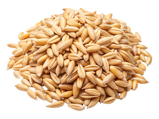 Pile of golden, unhulled grains, neatly stacked. Each kernel has a pointed shape, symbolizing natural abundance, freshness, and agricultural richness, set against a transparent background