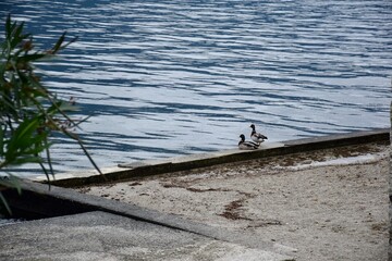 fishing on the beach