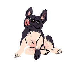 Cute French Bulldog with pied color licks. Happy puppy with adorable muzzle sits, shows tongue. Funny dog, pet has a rest. Amusing domestic animal relaxes. Flat isolated vector illustration on white