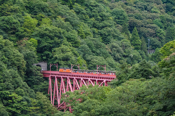 山峡の鉄橋を渡るトロッコ列車