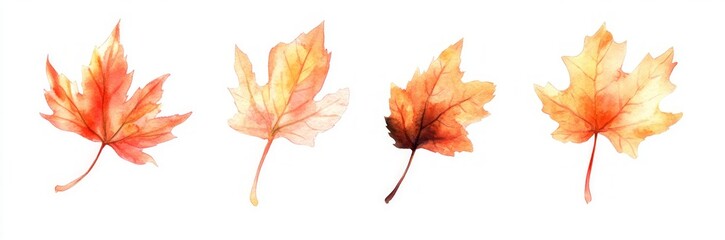 Obraz premium Autumn Maple Leaves Watercolor Painting