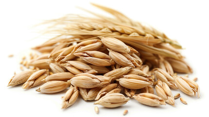 Barley Seeds isolated on pure white background
