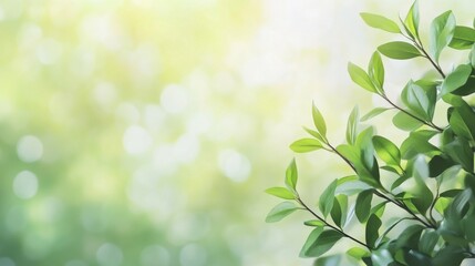 Obraz premium Fresh green leaves against a soft, blurred background, evoking tranquility and the beauty of nature in spring.
