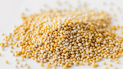 Millet Seeds isolated on pure white background
