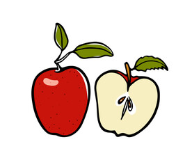 Vector illustration of hand drawn juicy red apples. Beautiful food and healthy eating design elements, perfect for food related industry