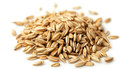 Obraz premium Oat Seeds isolated on pure white background