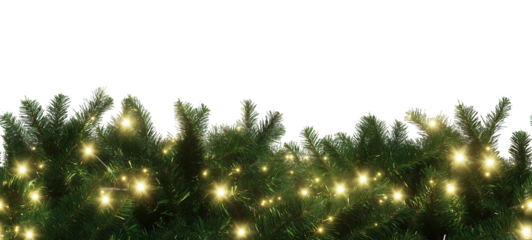 Seamless Horizontal christmas pine Leaves with lights isolated on a transparent background border
