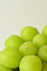 フレッシュなシャインマスカット