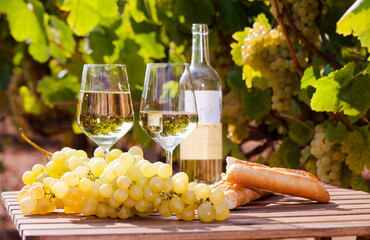 Glass of White wine ripe grapes and bread on table in vineyard