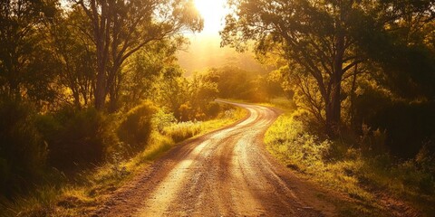 Fototapeta premium Golden Hour Country Road