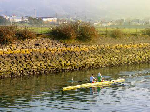 detail of a mobile rowing bench of two people dressed in colourful equipment training on the river with the water calm and sorrounded by vegetation in Hondarribia, basque country. water sport rowing 