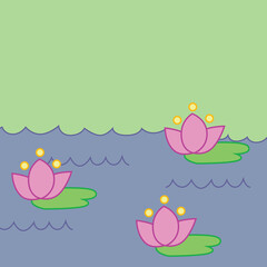pink water lilies float on the water
