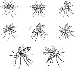 Vector Design of a Mosquito