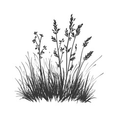 Silhouette of Tall Grass and Wildflowers