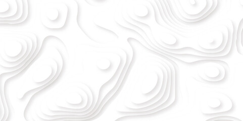 Abstract white paper cut art background design for website template or presentation template.3D rendering. White wave for artwork background.