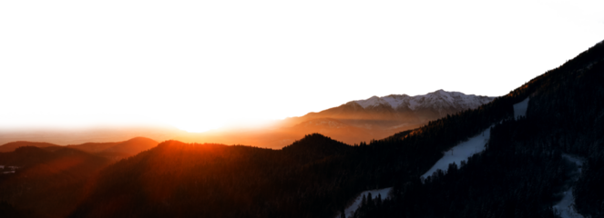 Panoramic Mountains with snow and forest isolated on white background	
