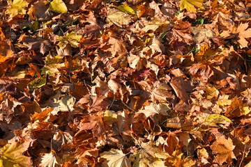 Autumn landscapes in Warmia Poland