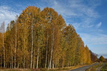 Autumn landscapes in Warmia Poland