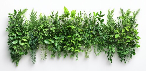 Naklejka premium Vibrant Green Wall Garden