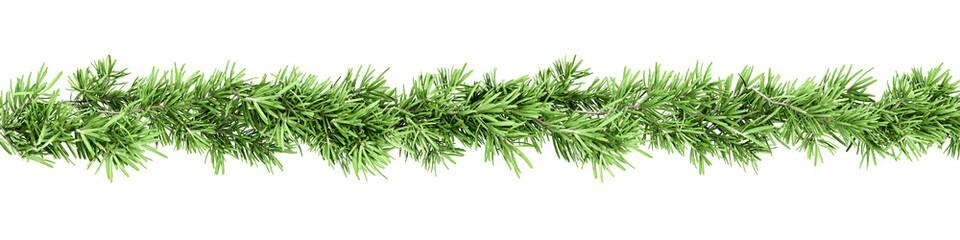 christmas garland pine branches isolated on transparent