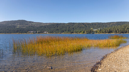 Abant Lake - Autumn forest landscape reflection on the water with wooden pier - Abant National Park - Bolu, Turkey